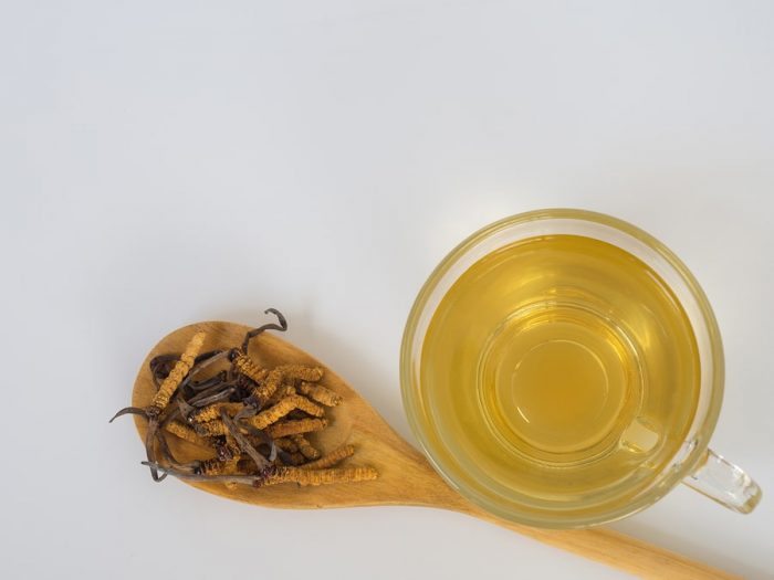 Cordyceps na lžíci a sklenice čaje z houby