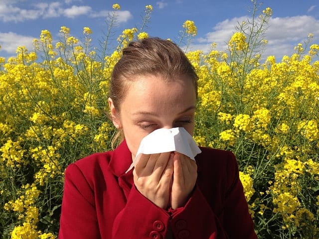 žena trpí alergií u rozkvetlého pole řepky